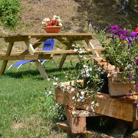 Agriturismo Dalla Natura La Salute Giustino Kültér fotó
